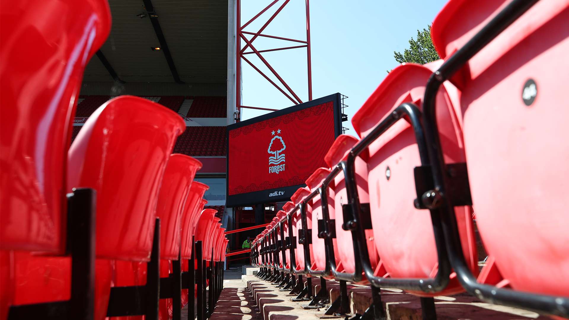 不仅提升了 不仅提升了